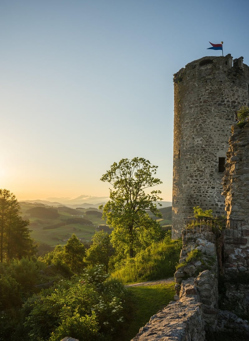 Medieval castle ruin