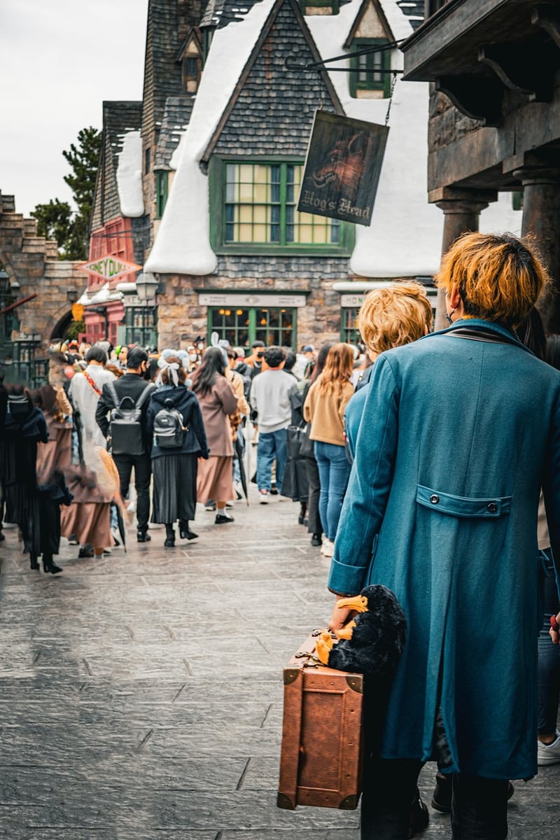Harry Potter